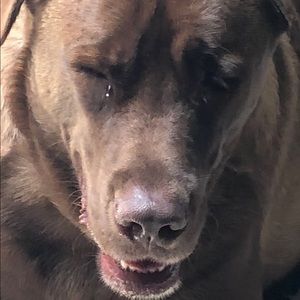 Meet your Posher, Fish